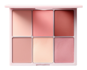 PNG Blush palette cosmetics white background variation.