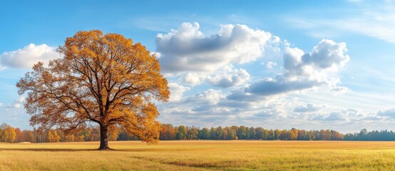 Sunny autumn morning on grassy meadow. Scenic autumn. Golden trees on grassy field.