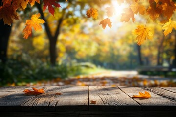 Table with red, yellow, and orange leaves in autumn and a forest background