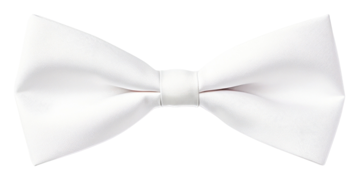 PNG white bow on the white background
