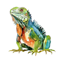 Obraz premium Colorful Watercolor Painting of a Green Iguana in a Natural Pose