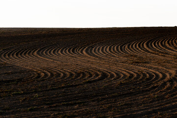 Drilled arable land for cropping, in late summer evening light, aesthetically pleasing