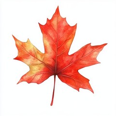 Obraz premium Transparent background with watercolor fall leaf in autumn color