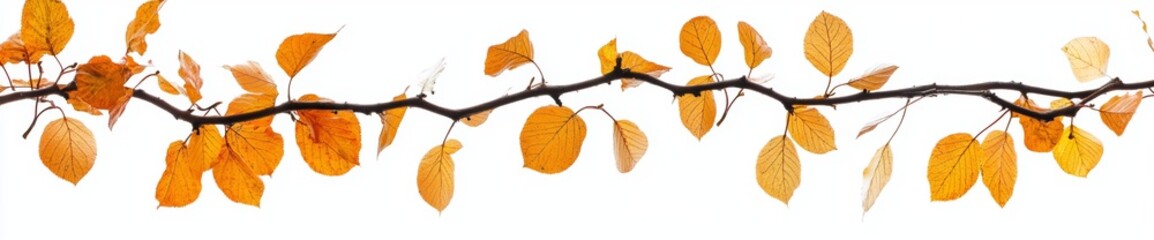 Naklejka premium Autumn banner made of colorful leaves on transparent background for websites and decor - 3D illustration