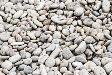 pebbles round gray embankment of the river close-up background stone