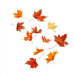 Fototapeta premium Transparent PNG of autumn leaves moving with the wind isolated on white background, mockup overlay of oranges and yellows
