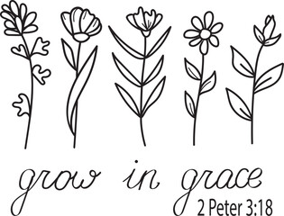 Vector Grow in Grace