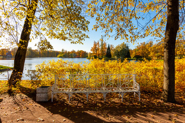 Catherine park in autumn foliage, Tsarskoe Selo (Pushkin), Saint Petersburg, Russia