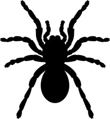 black spider, halloween decorative element, tarantula silhouette