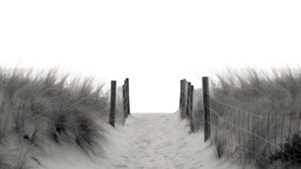 PNG Beach nature border on the white background