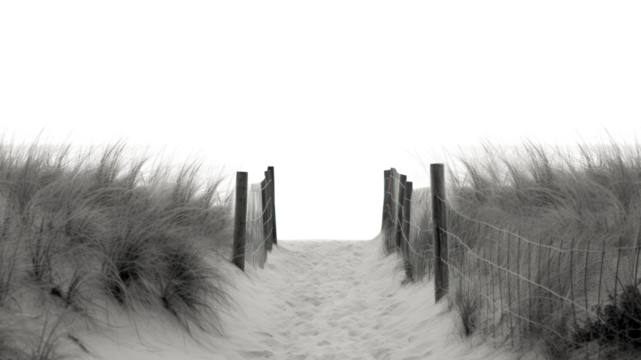 PNG Beach nature border on the white background