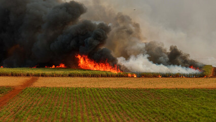 Sugar cane Fire plantation smoke