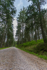 Paysage de - Mummelsee dans la Forêt-Noire près de Seebach