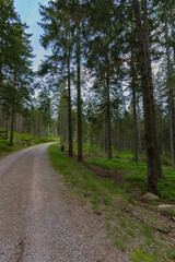 Fototapeta premium Paysage de - Mummelsee dans la Forêt-Noire près de Seebach