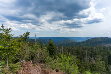 Paysage - Mummelsee dans la Forêt-Noire