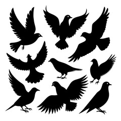 Fototapeta premium A collection of dove silhouettes in various dynamic poses highlighting their graceful forms and movements suitable for creative or decorative purposes