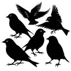 Obraz premium This artwork features a collection of sparrows displayed as black silhouettes showcasing their unique shapes and positions against a stark background
