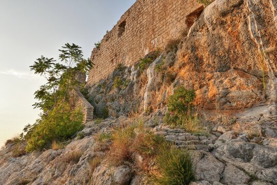 Massive southern wall of ruin of Fortica fortress above Novigrad town, northern Dalmatia, Croatia. Built on shoreline rocks, outgrowing with foliage of trees and shrubs. Late afternoon sunshine. 