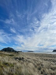 Fototapeta premium Mount Maunganui, New Zealand
