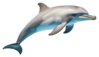 Obraz premium PNG Dolphin on the white background