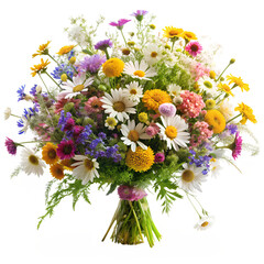 bouquet of wild flowers isolated