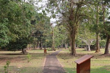 road at muarajambi temple many tree  and natural