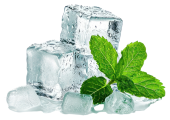 PNG  Ice cubes with mint leaves plant herbs leaf.