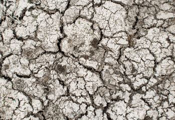 Aridity Background. Crack Land in summer