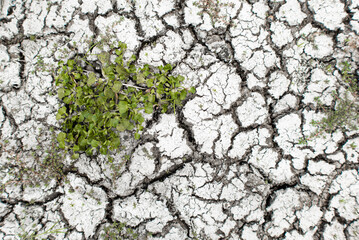 Dry and cracked soil ground. Aridity Background