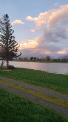 sunset over the field