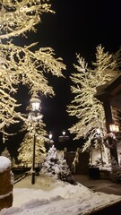 christmas tree in the park