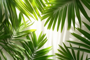 Large green palm leaves overlapping on a light background for a tropical, exotic feel 