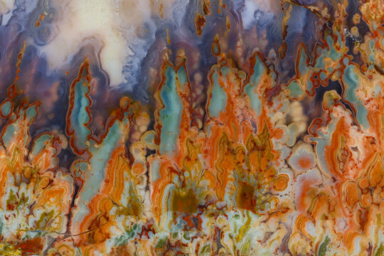 USA, Washington State, Sammamish. Close-up details of Prudent Man Agate