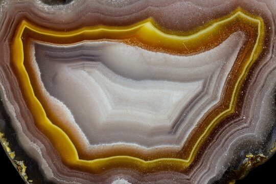 USA, Washington State, Sammamish. Close-up banded agate