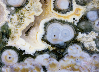 USA, Washington State, Sammamish. Ocean jasper close-up