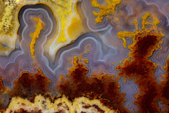 USA, Washington State, Sammamish. Close-up of Cathedral Agate