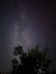 galaxy from yard © Szymon