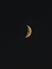moon shot