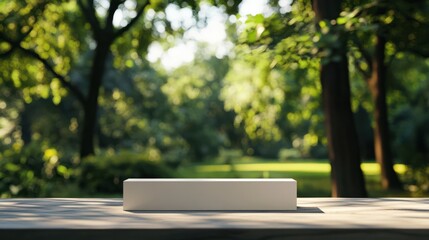 Empty surface, blurred trees background, advertising banner Summer mockup for design and product display.