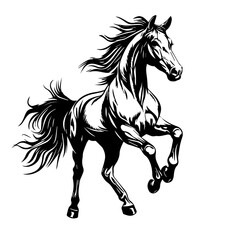 Horse Vector