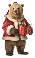 PNG Bear christmas standing costume.