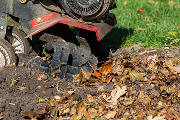 Garden tiller tilling leaves and organic material into soil in fall. Gardening, soil health and...