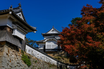 紅葉に染まる秋の備中松山城