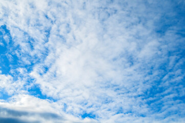 Obraz premium Blue sky background with white dramatic colorful clouds and sunlight. Colorful blue sky landscape, sunny blue sky with picturesque clouds