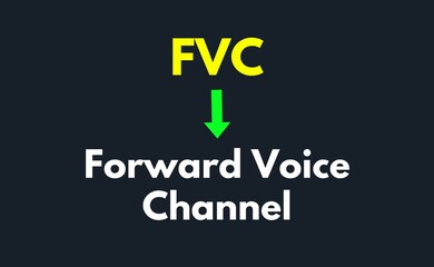FVC Meaning, Forward Voice Channel