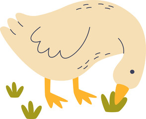 Goose Eating Grass