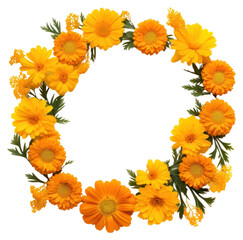 Obraz premium PNG Flower petal plant inflorescence.