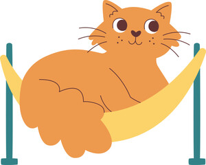 Cat On Hammock