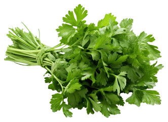 Obraz premium PNG Fresh parsley herb herbs plant food.