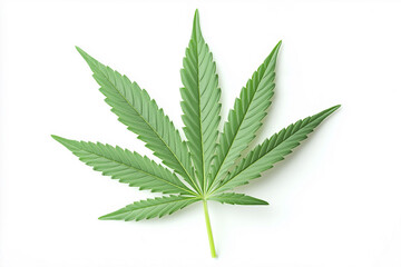 green marijuana leaf ganja on white background, generative AI